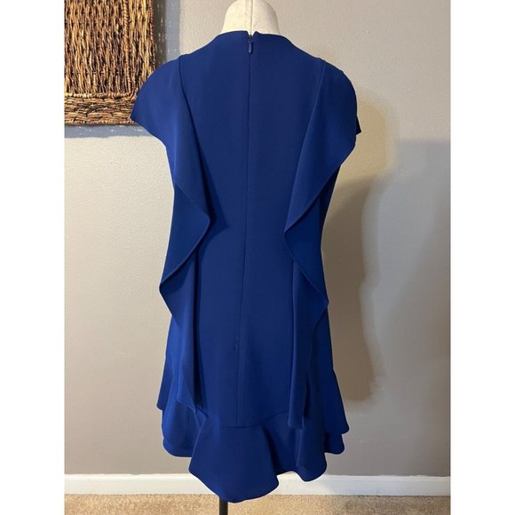 BCBGMaxAzria AnneMarie Dress M Medium Blue Short Sleeve Shift Washable Ruffled - Picture 10 of 13